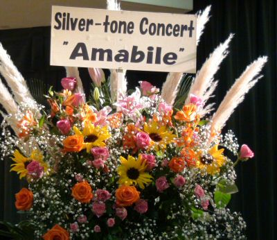 Silver-tone Concert Amabile