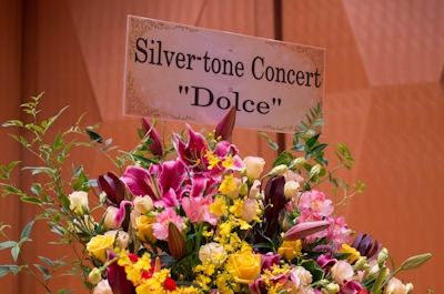Silver-tone Concert 
