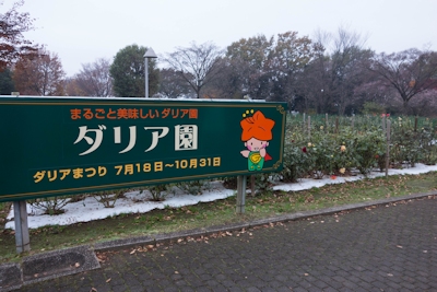 Flower park